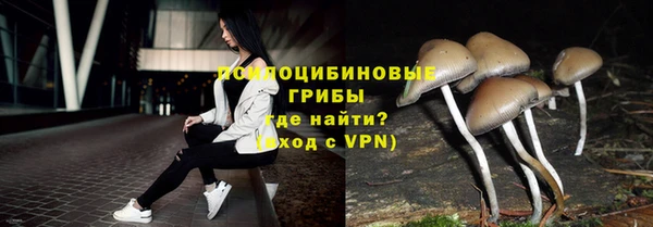 apvp Балабаново