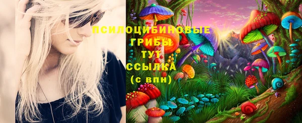 apvp Балабаново